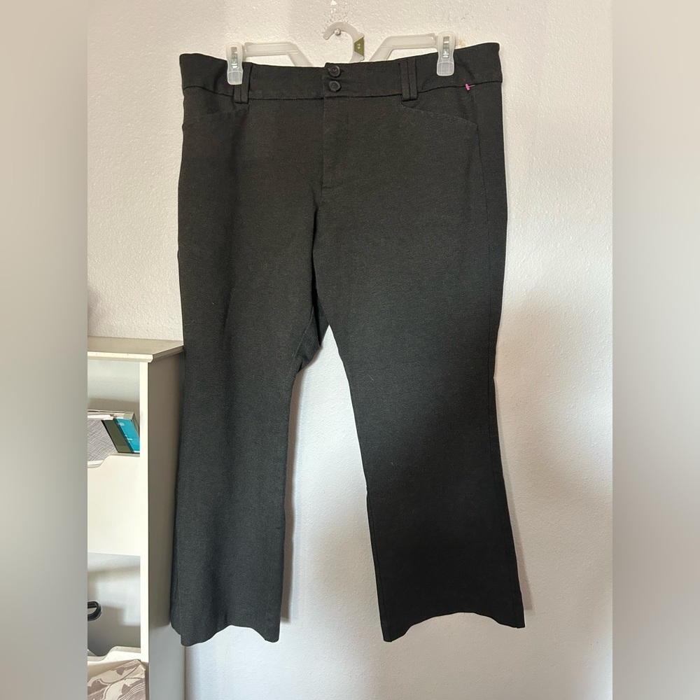 Studio by torrid Women's Gray pants